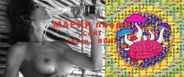 амф Куйбышев