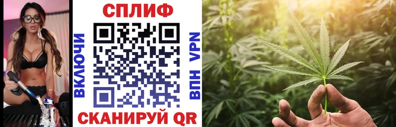 Конопля сатива Бикин